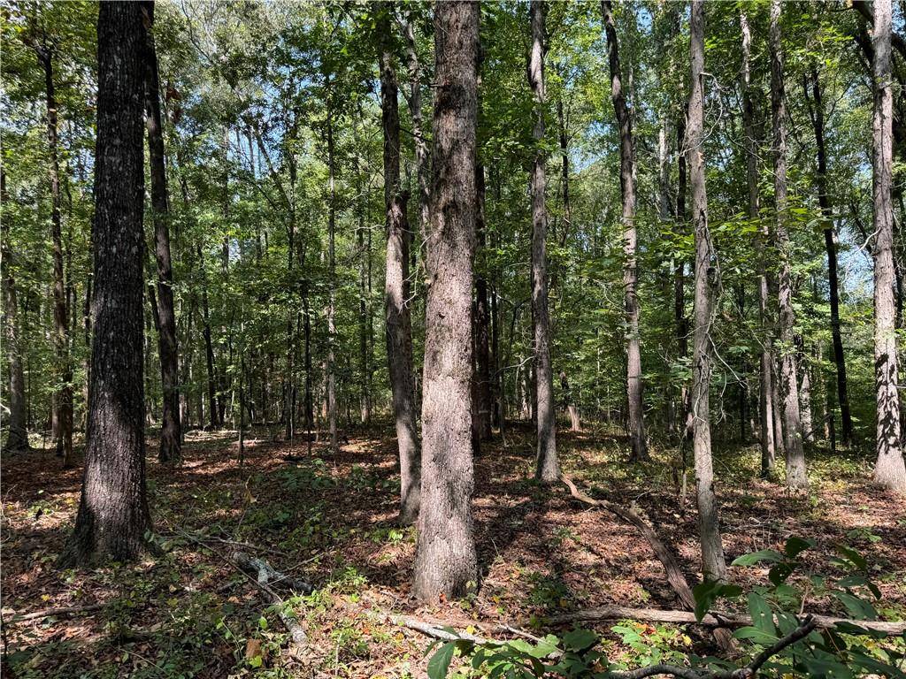 Canton, GA 30115,348 A Pat Rich DR