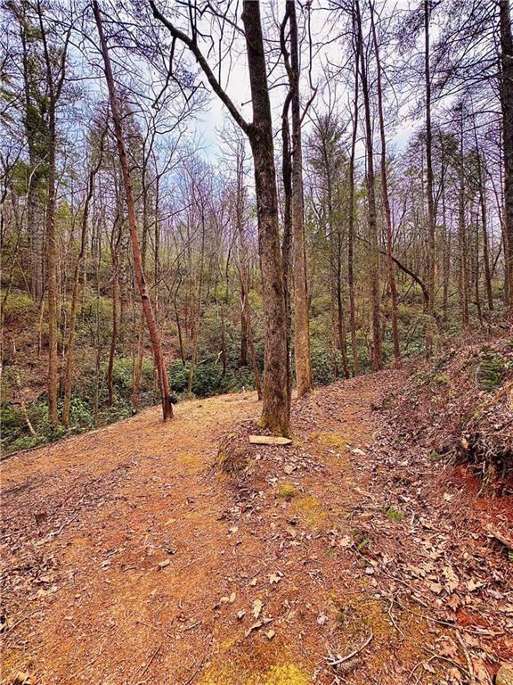 Tiger, GA 30576,2615 Bridge Creek RD