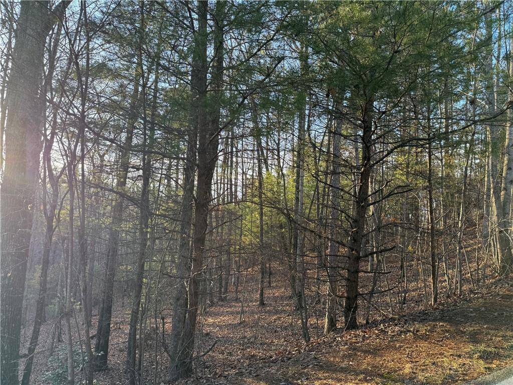 Big Canoe, GA 30143,3404 Wildcat TRL