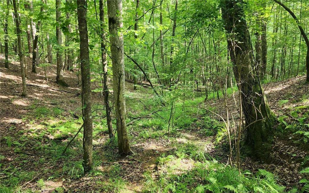 Ellijay, GA 30540,0 Oneida CIR
