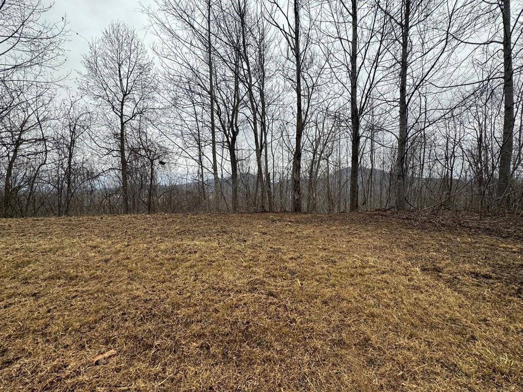 Young Harris, GA 30582,Lot 10 Chatuge Manor