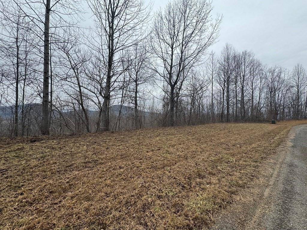 Young Harris, GA 30582,Lot 10 Chatuge Manor