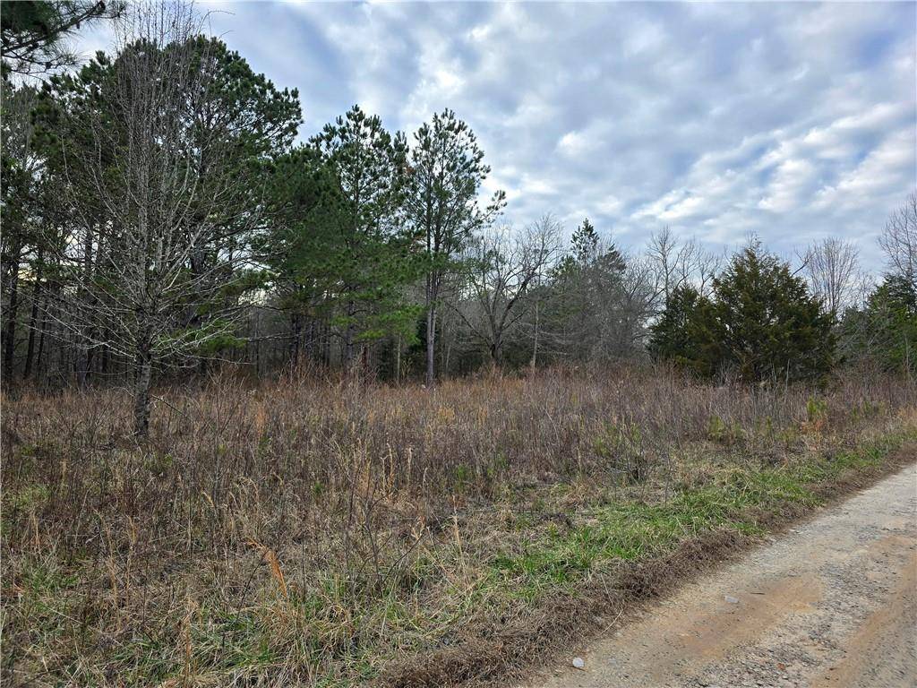 Stephens, GA 30671,00 Willow ST