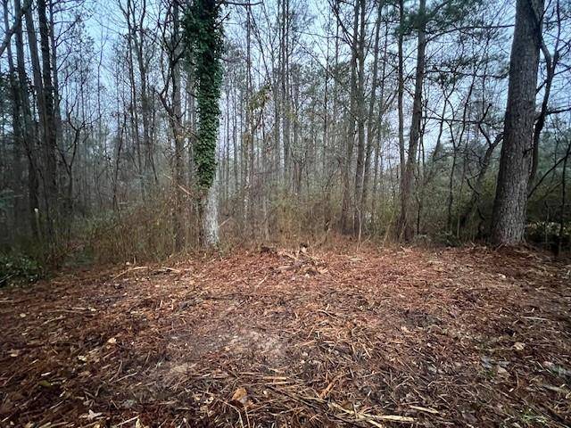 Hiram, GA 30141,74 Bonds CT