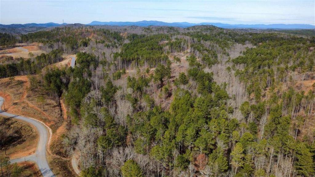 Talking Rock, GA 30175,LT 108 Blalock Mountain RD