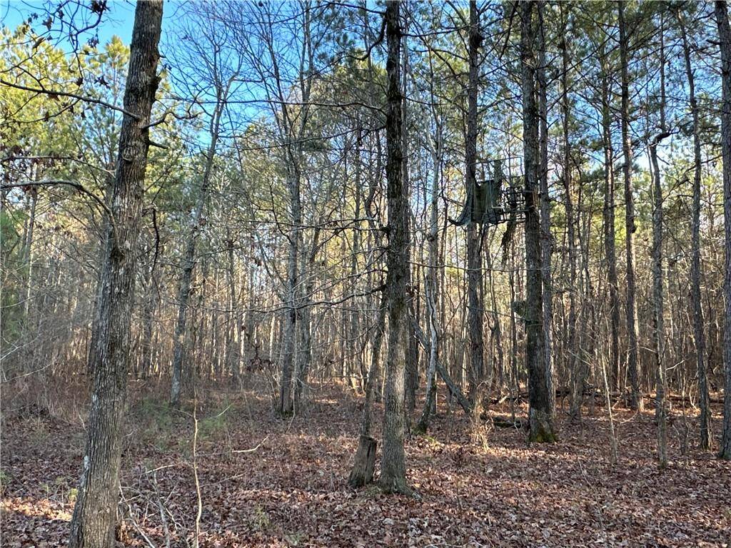 Cave Spring, GA 30124,0 Buttermilk RD