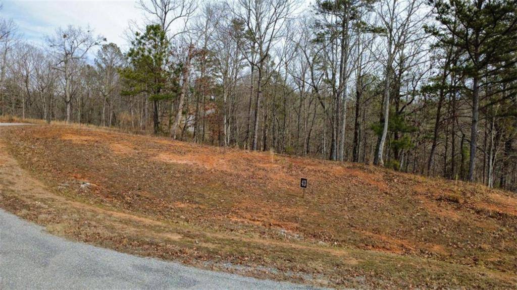 Talking Rock, GA 30175,LOT 43 Bucktail WAY