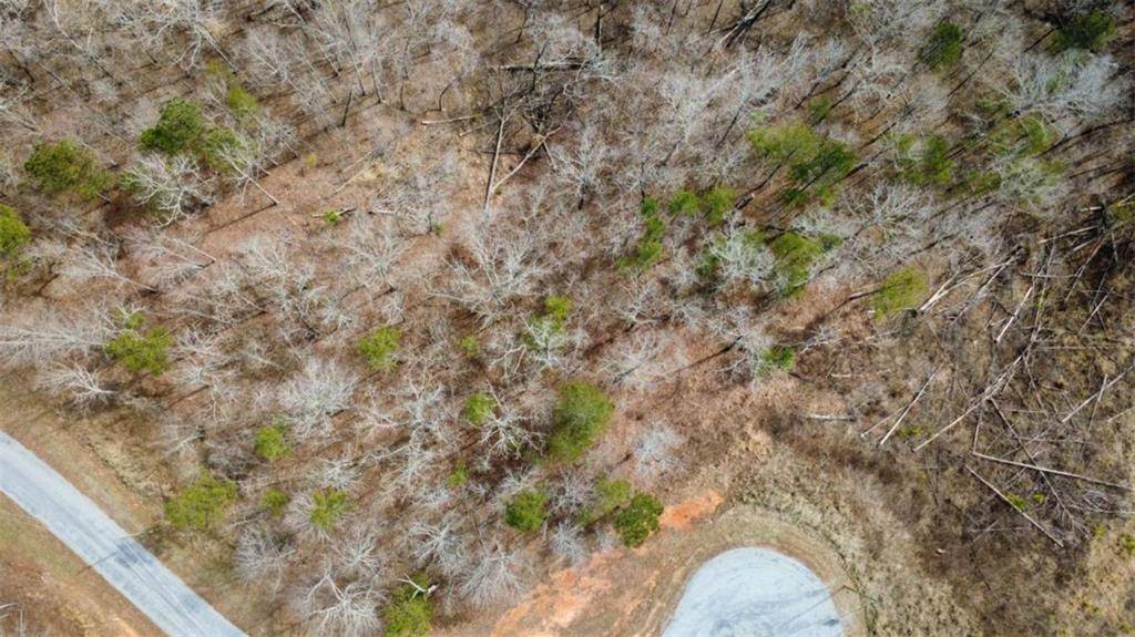 Talking Rock, GA 30175,LOT 43 Bucktail WAY
