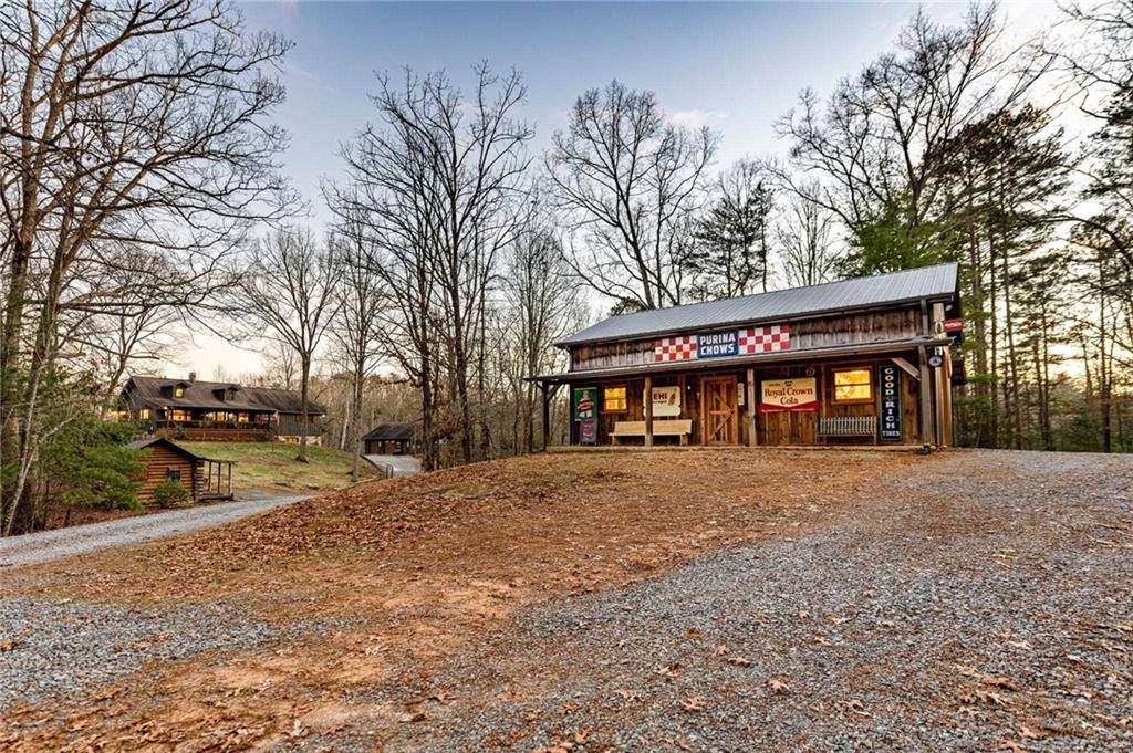 Mineral Bluff, GA 30559,178 Arp RD