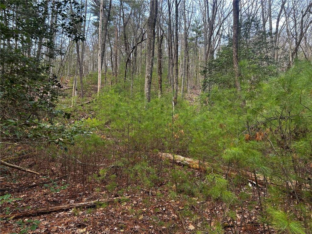 Cleveland, GA 30528,0 Corinth Church RD