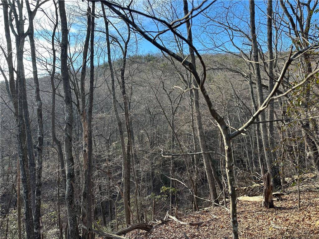 Jasper, GA 30143,Lt1141 Oglethorpe Mountain RD