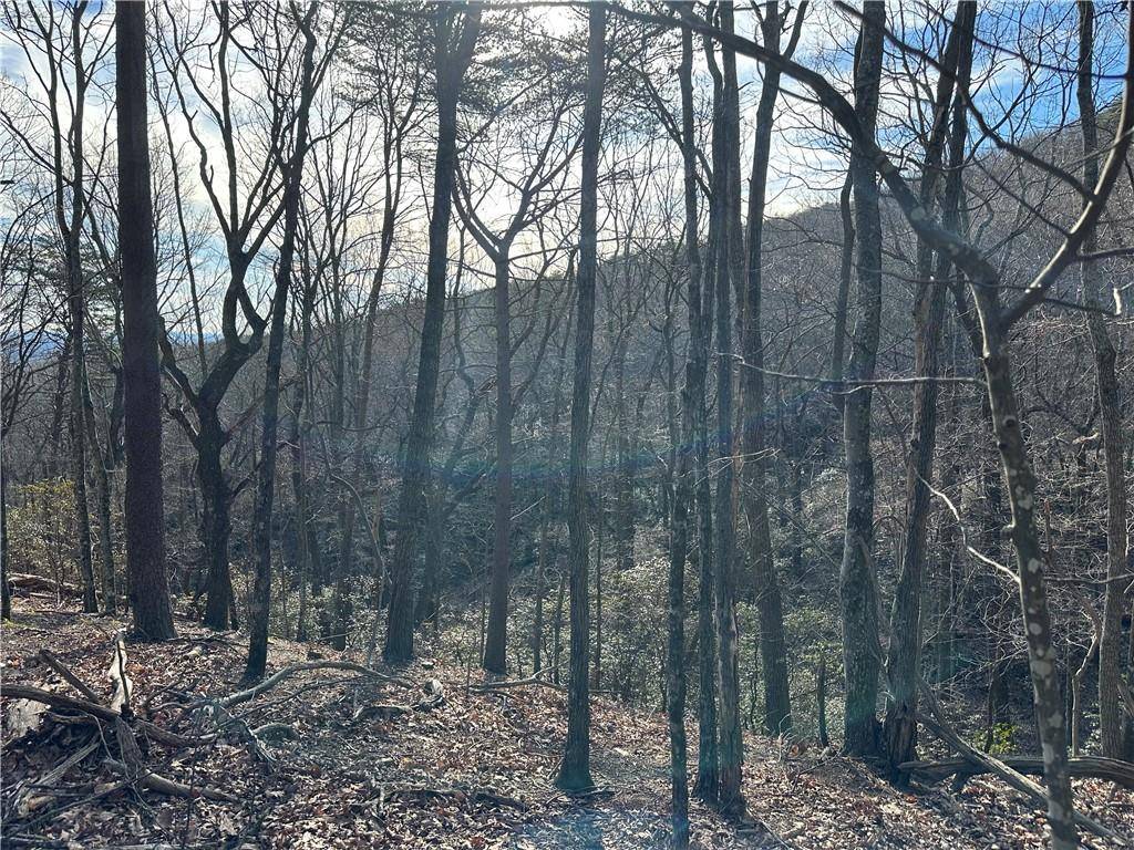 Jasper, GA 30143,Lt1141 Oglethorpe Mountain RD