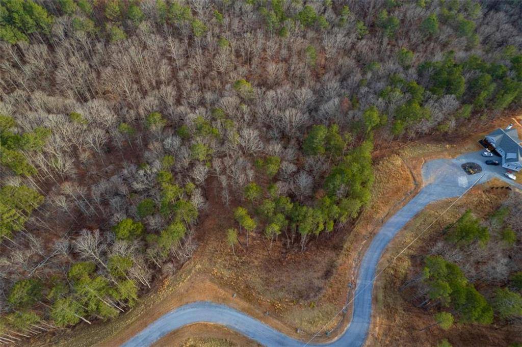 Talking Rock, GA 30175,LT 186 Shelter Cove Trl