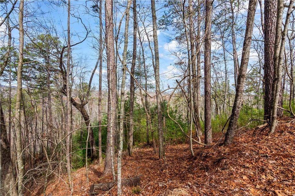Ellijay, GA 30540,Lot941 Myna Drive
