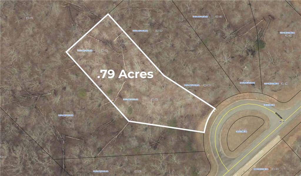 Dawsonville, GA 30534,7025 Lake Vista DR