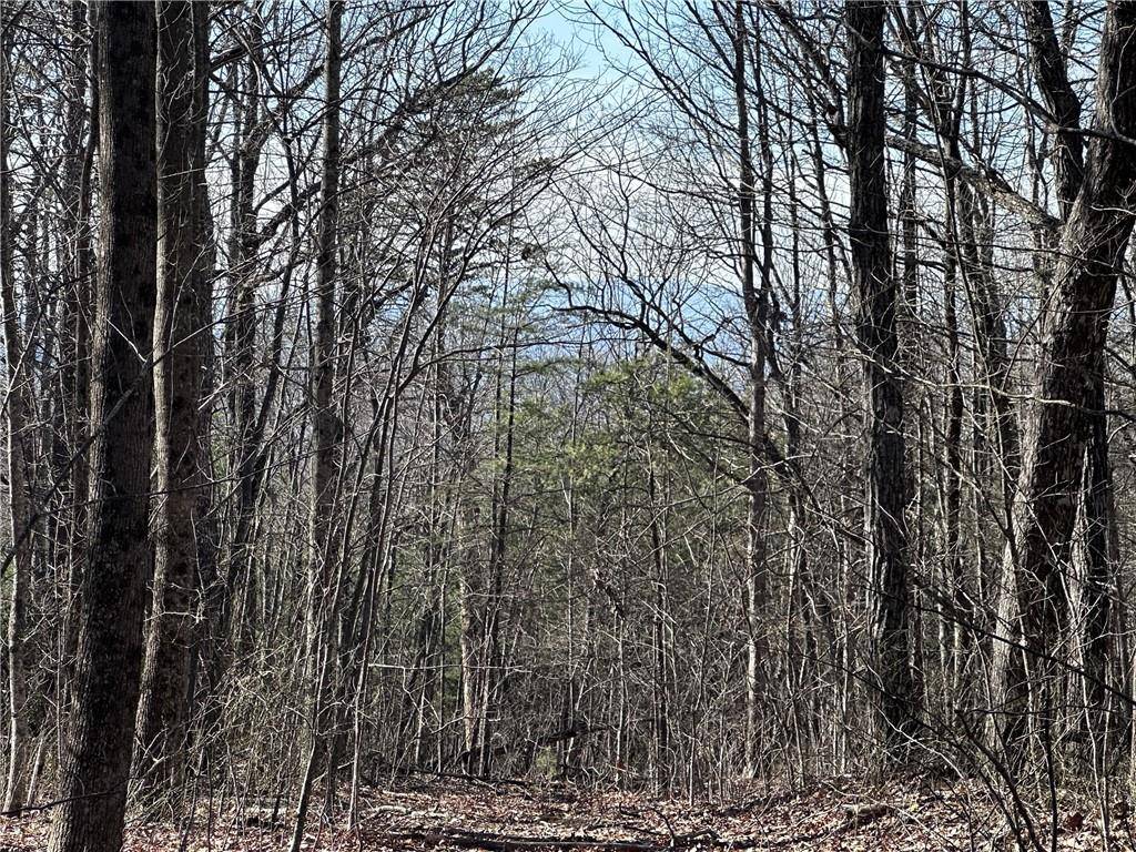 Ellijay, GA 30536,57 St Andrews WAY