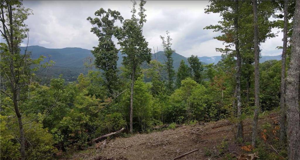 Hiawassee, GA 30546,28.90 Acres Tom Wheeler RD