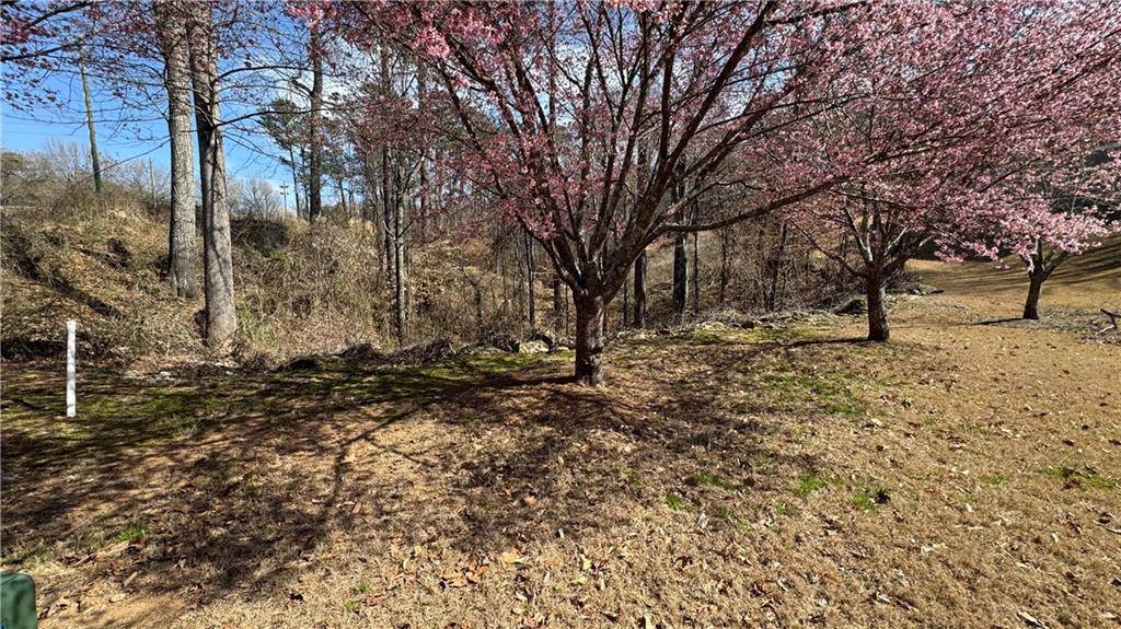 Douglasville, GA 30135,5208 Prestley Crossing LN