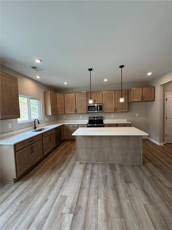 Dallas, GA 30132,205 Sage Woods WAY