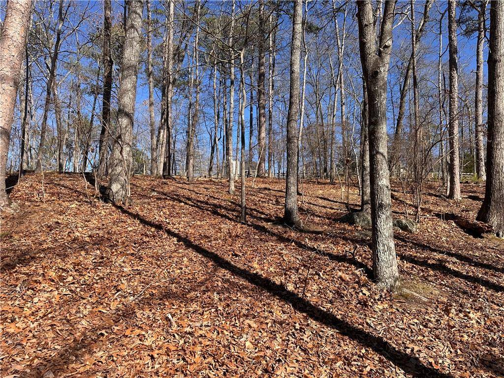 White, GA 30184,0 SWALLOW DR
