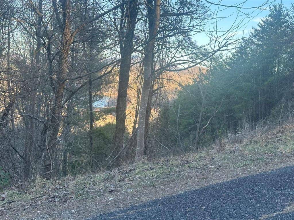 Hiawassee, GA 30546,LOT 40 Overlook TRL