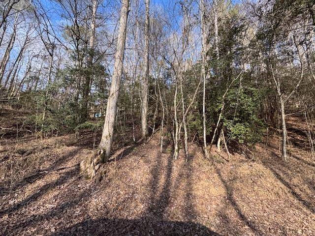 Ellijay, GA 30540,Lot 7 Hidden Valley TRL