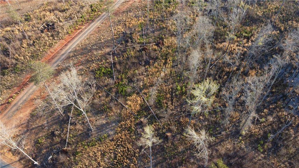 Forsyth, GA 31029,1374 Hopewell Rd