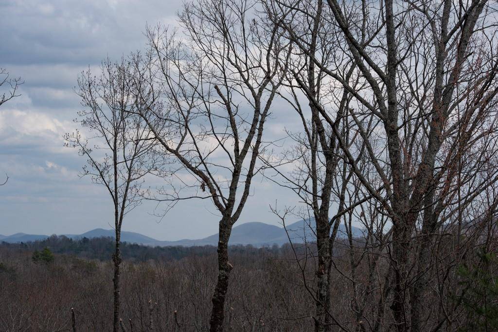 Dahlonega, GA 30533,Lot 5 Huntington Pl PL