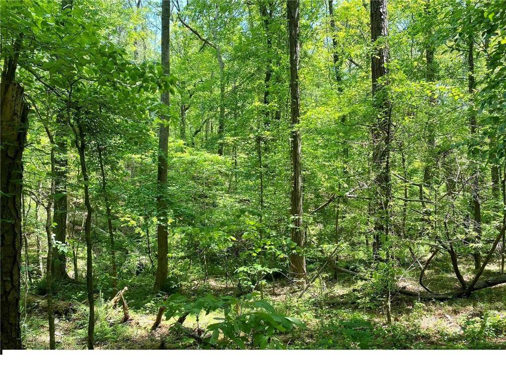Douglasville, GA 30135,3770 Anneewakee RD