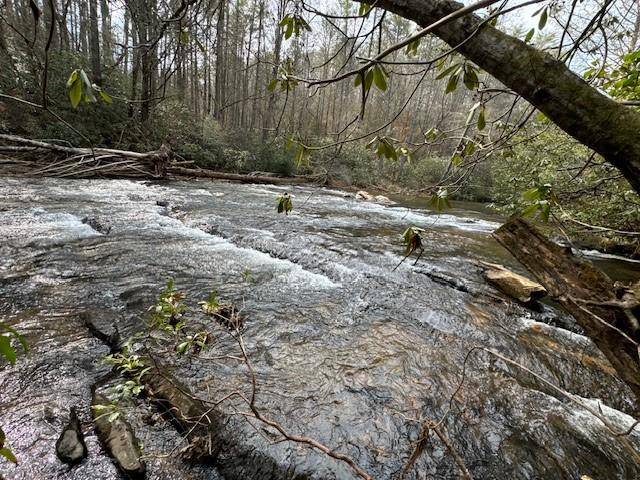 Dahlonega, GA 30533,0 Horseshoe Bend RD