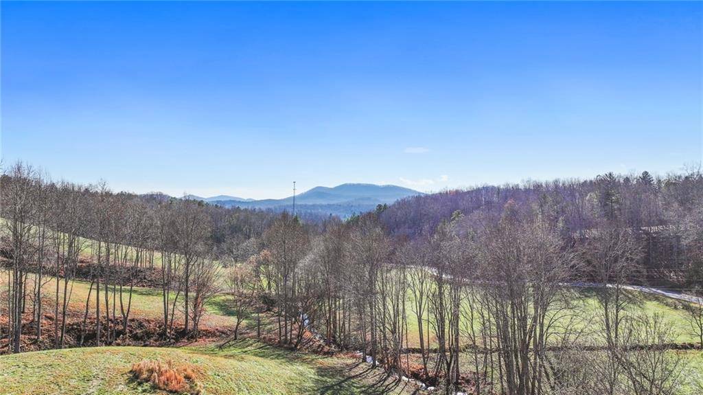 Morganton, GA 30560,LOT 22 Lower Ridge Trail