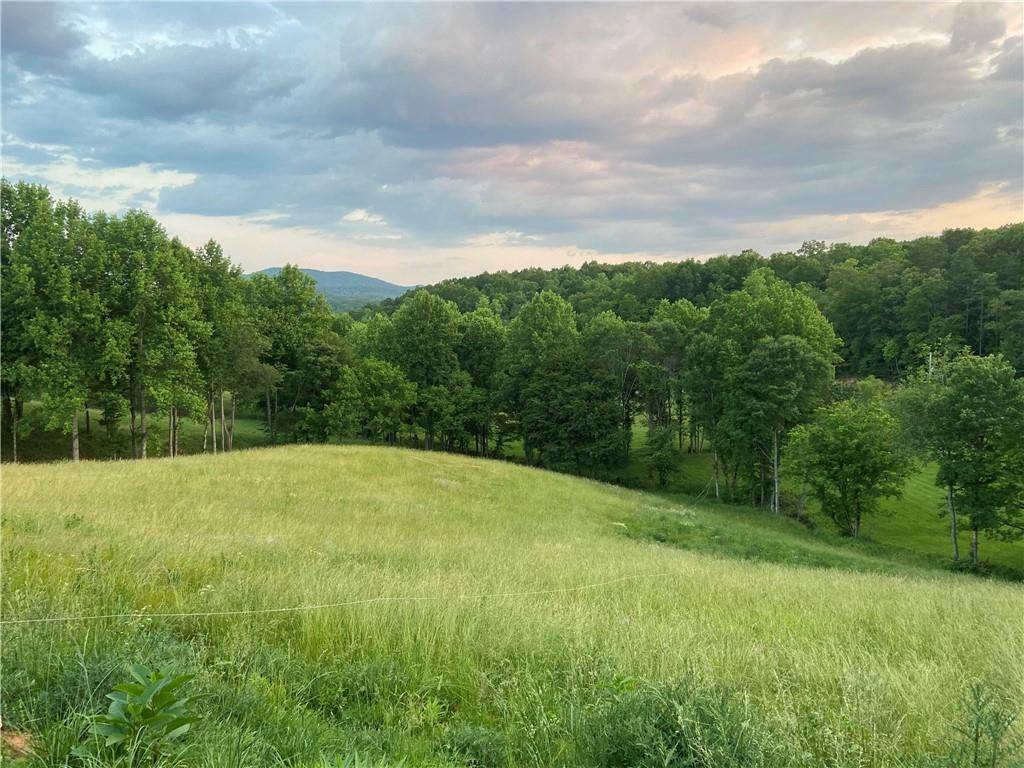 Morganton, GA 30560,LOT 22 Lower Ridge Trail