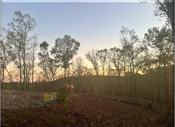 Dahlonega, GA 30533,0 S Chestatee ST