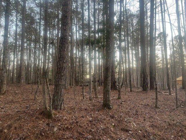 Fayetteville, GA 30214,0 Pine Tree DR
