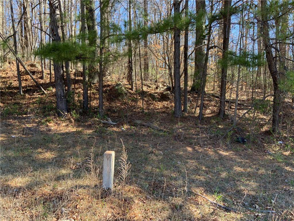 Ellenwood, GA 30294,2332 Carrington DR