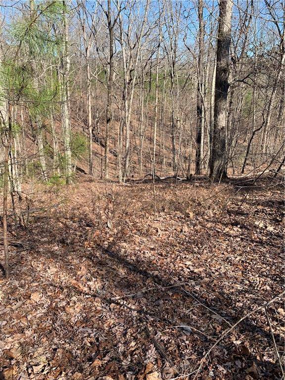 Talking Rock, GA 30175,0 Jones Mountain Road