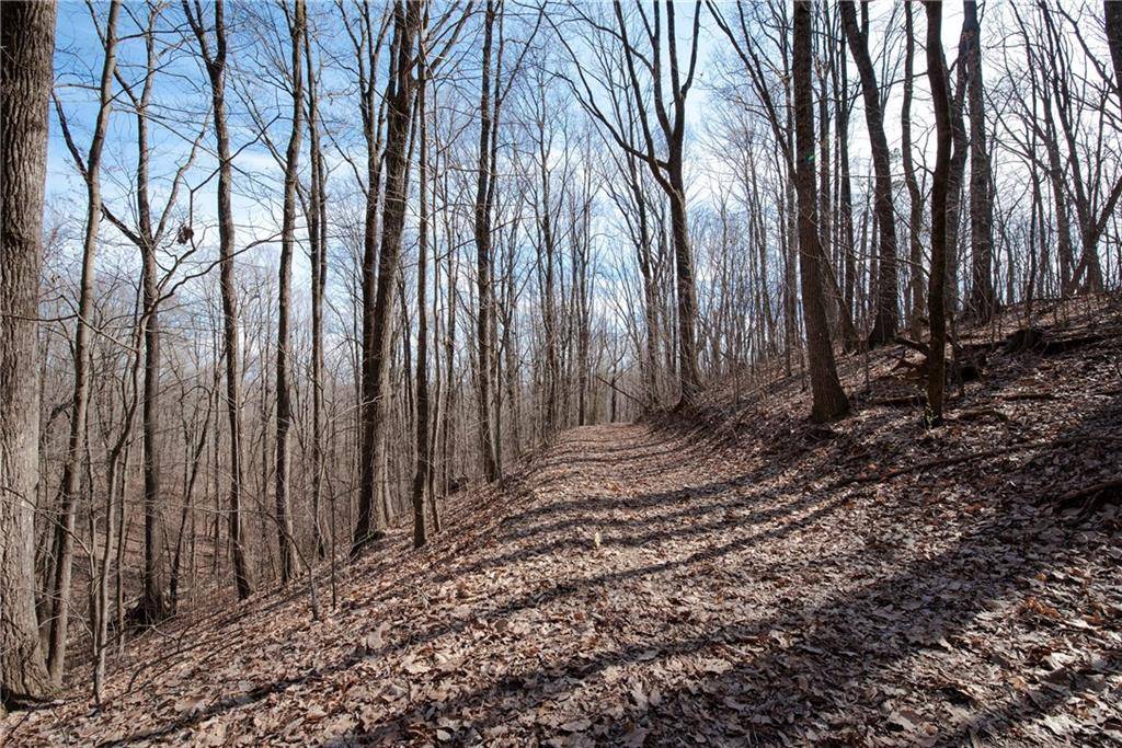 Murrayville, GA 30564,86.99 Acres Mincie Mountain