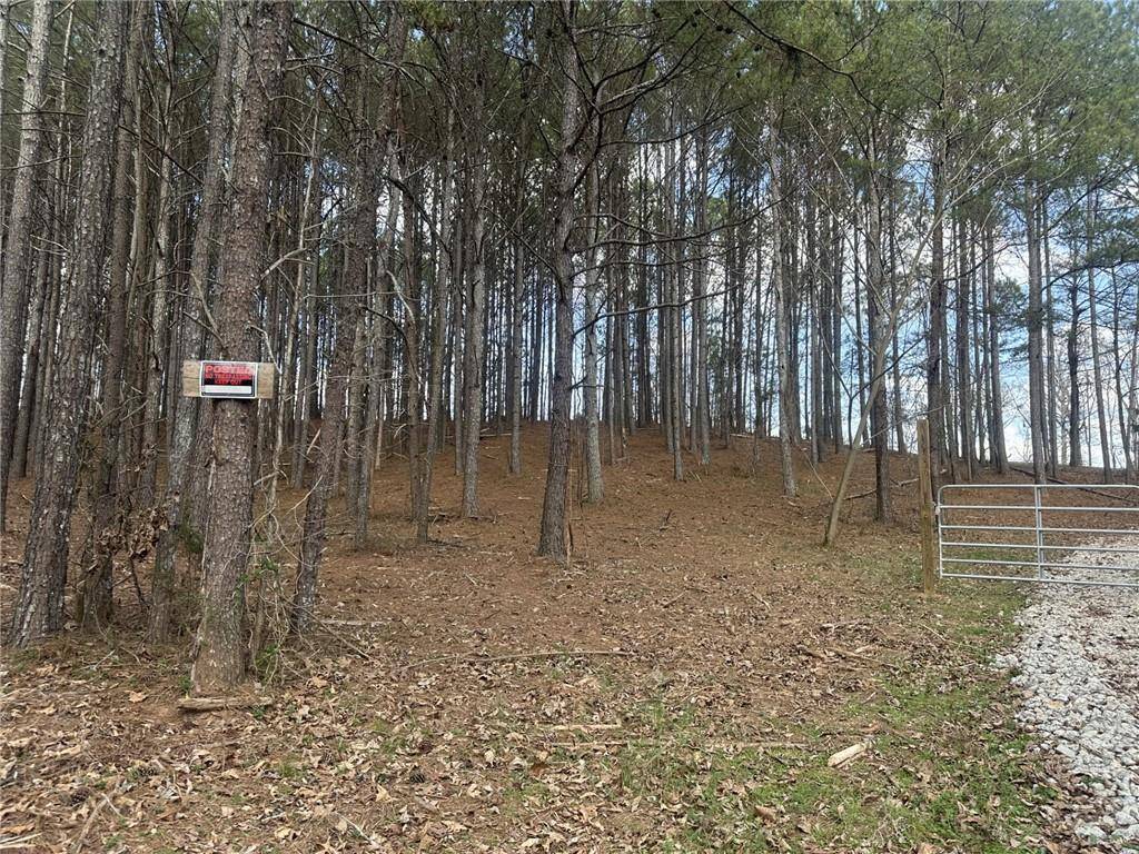 Adairsville, GA 30103,86 Green LOOP