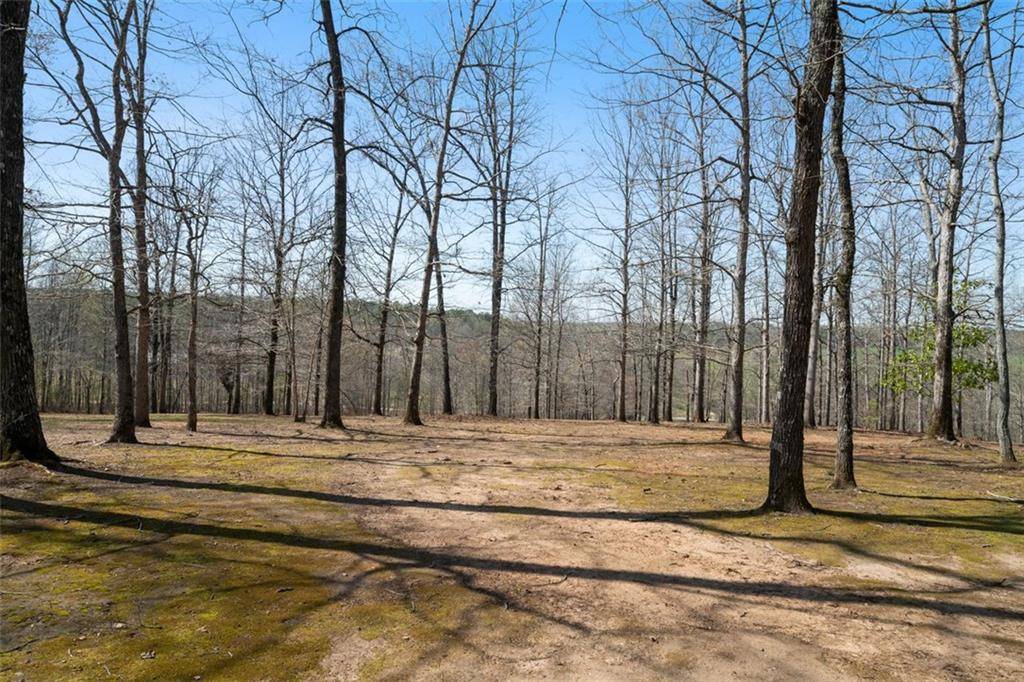 Roopville, GA 30170,680 MILLIGAN CREEK RD
