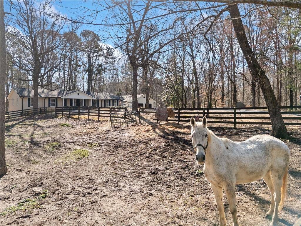 Canton, GA 30114,428 Dogwood DR