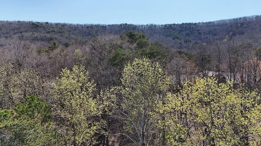 Waleska, GA 30183,125 Grey Eagle DR