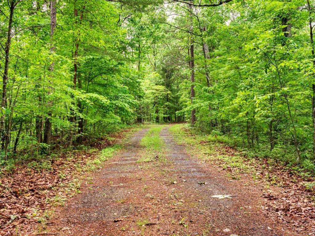 Ranger, GA 30734,772 Naomi CT
