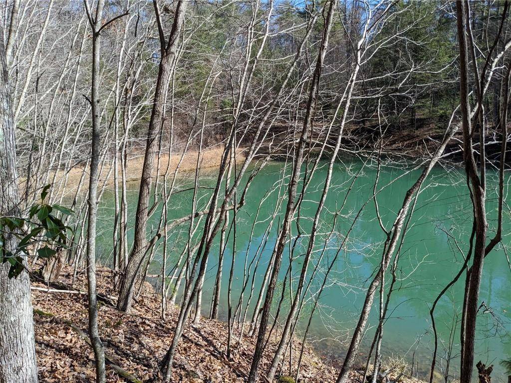 Morganton, GA 30560,0 My Mountain RD