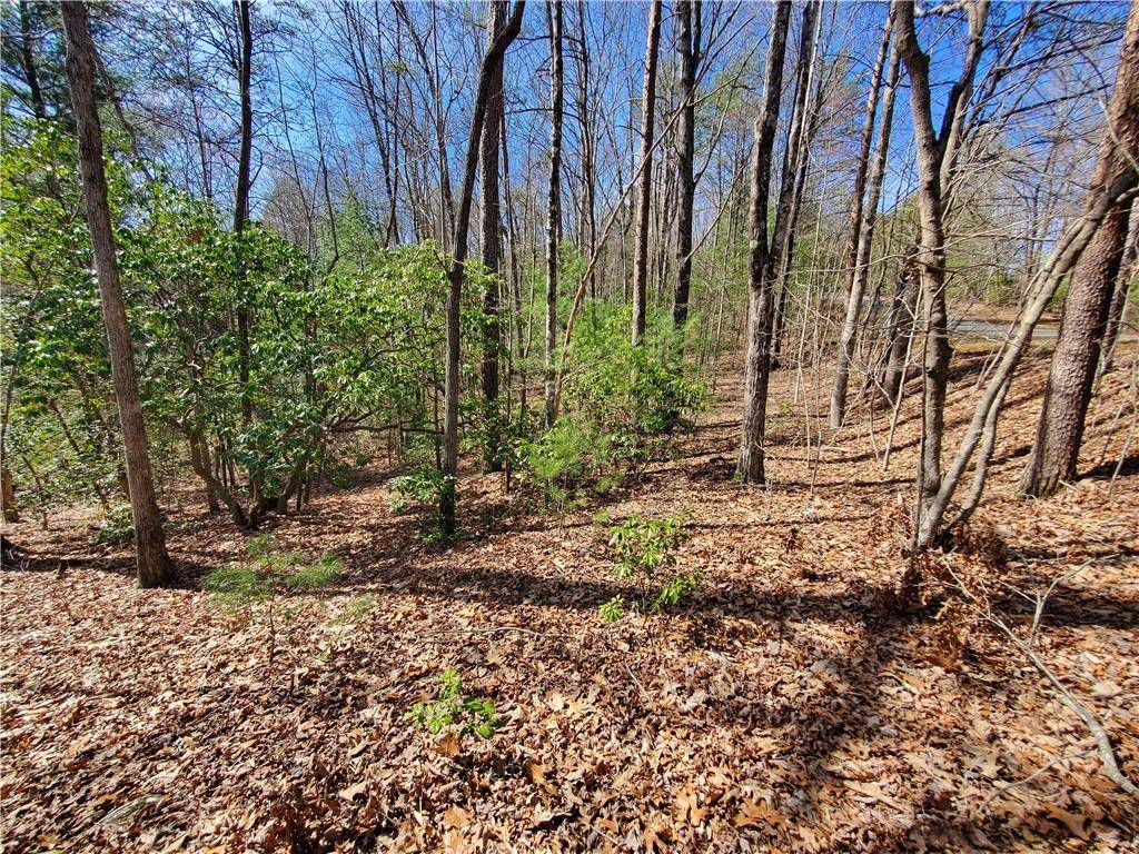 Ellijay, GA 30540,0 Trails End SMT