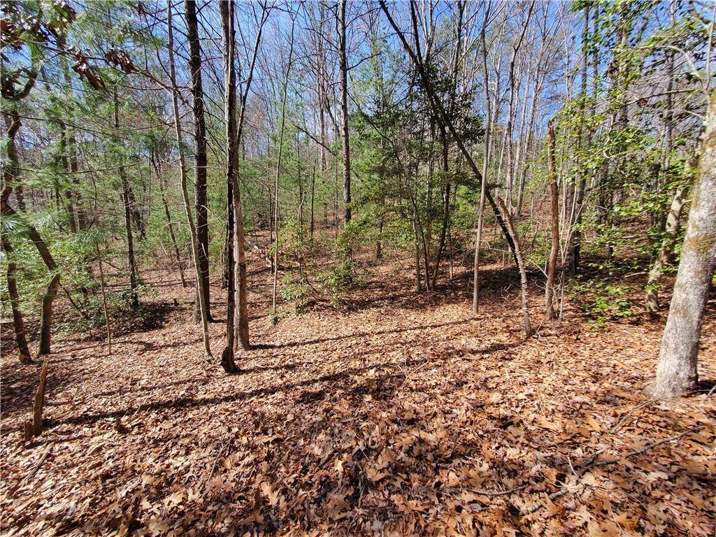 Ellijay, GA 30540,0 Trails End SMT