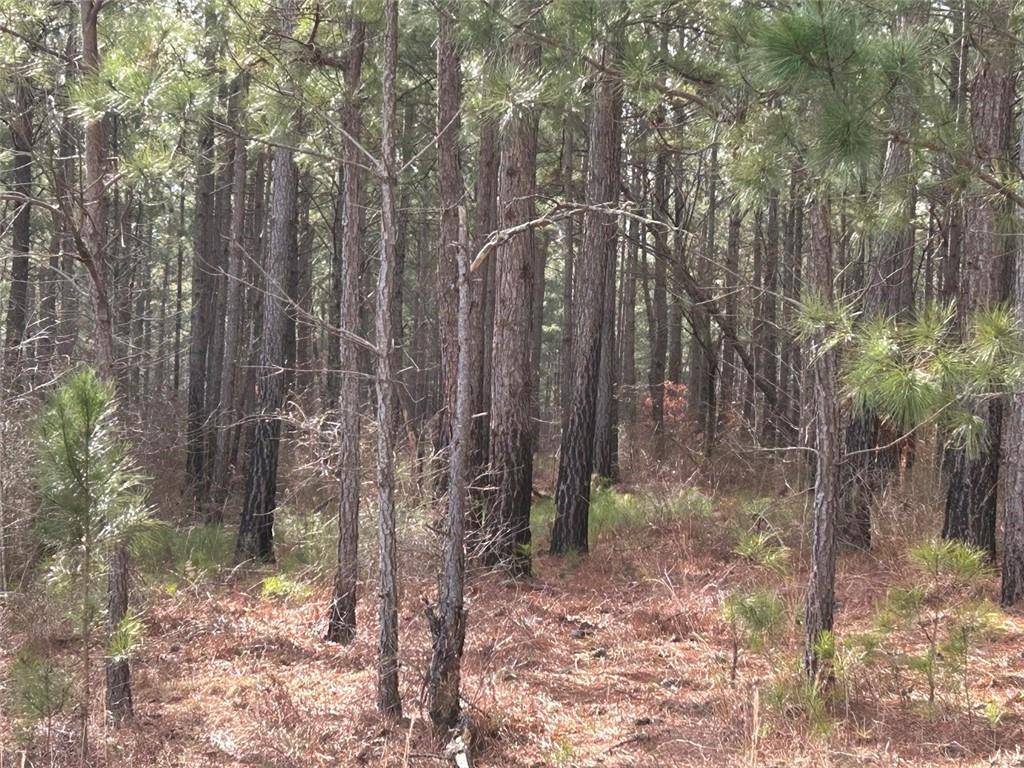 Carrollton, GA 30117,250 RiverSong RD