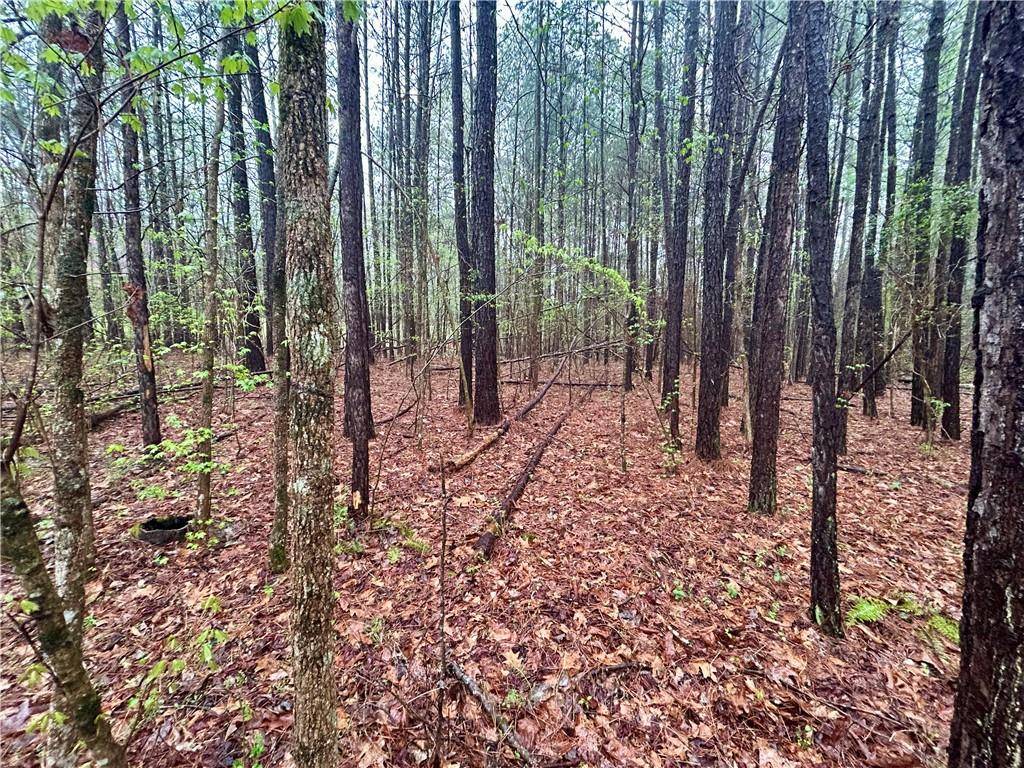 Rome, GA 30161,0 Walker Mountain RD SW