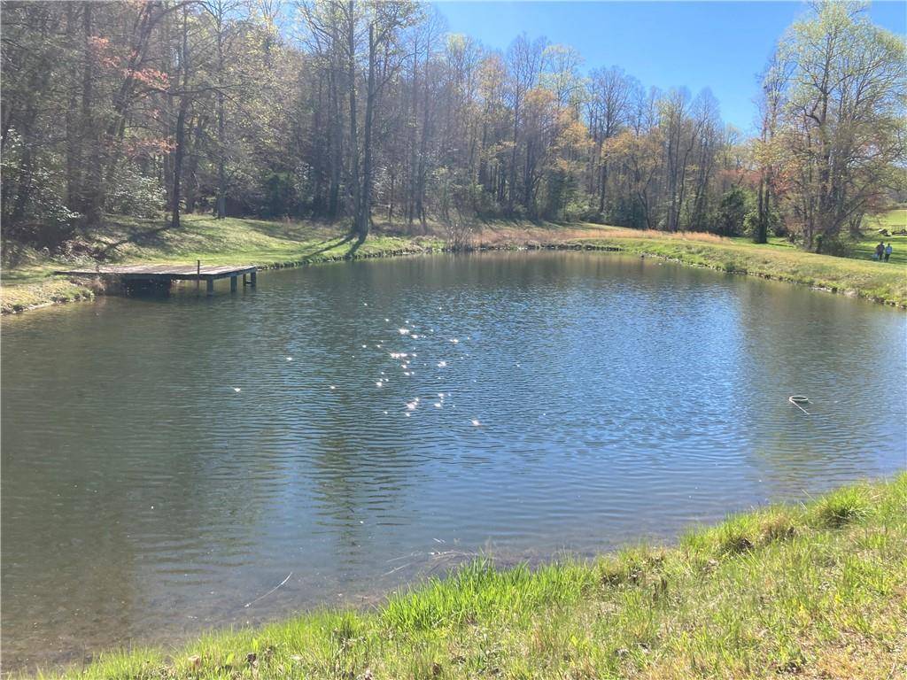 Blairsville, GA 30512,0 Cora's Way