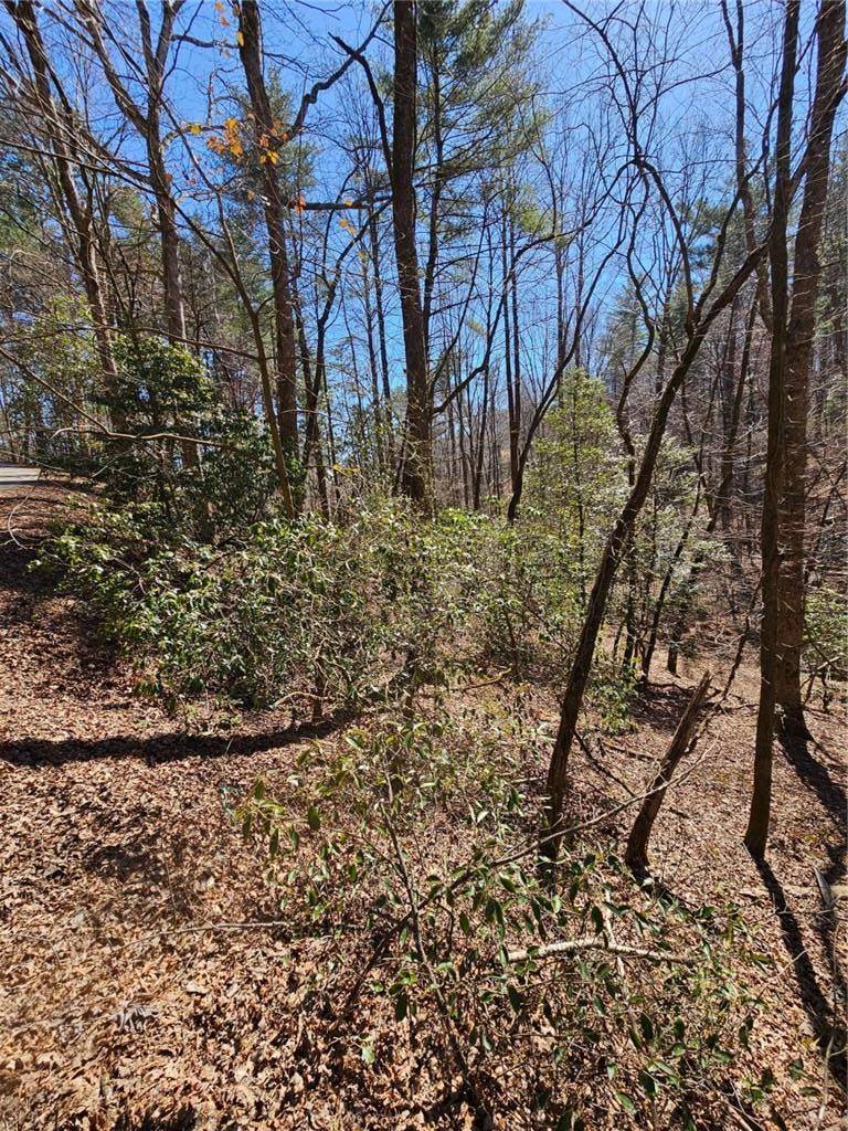 Ellijay, GA 30540,0 Etowah DR
