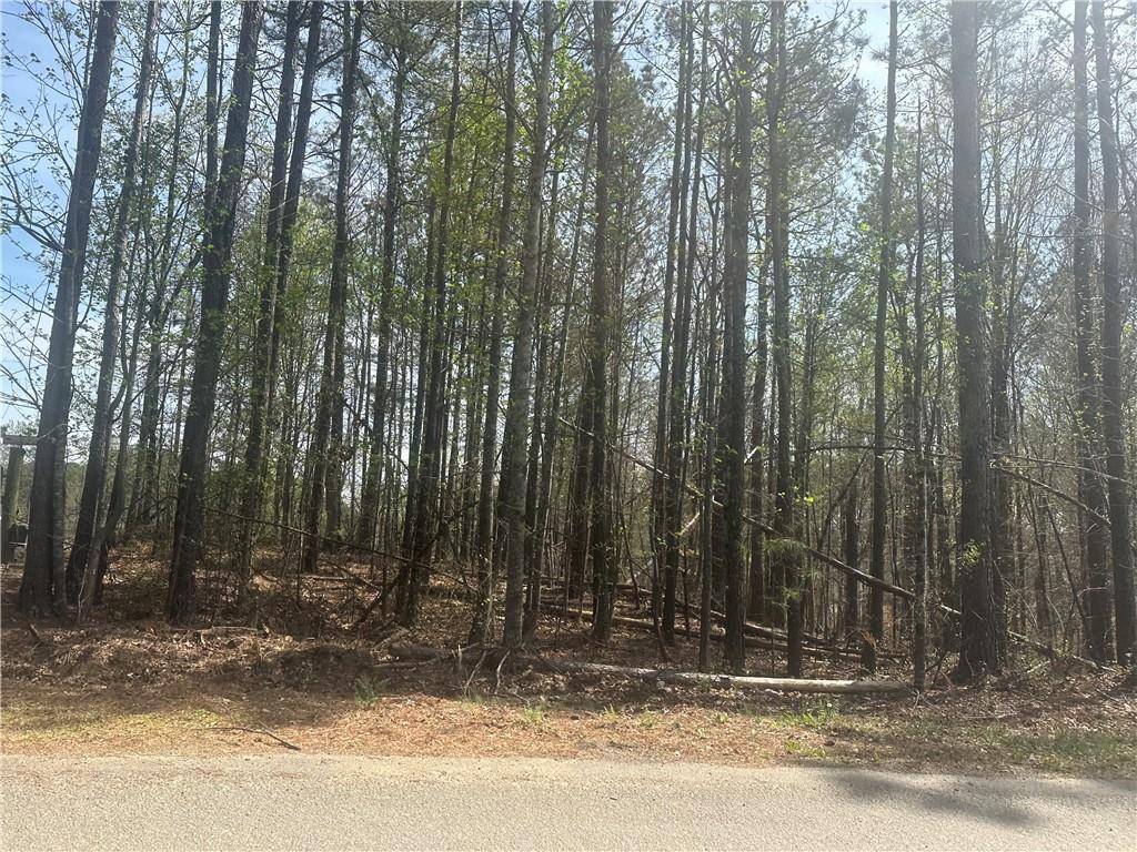 Dallas, GA 30132,TBD Cochran RD